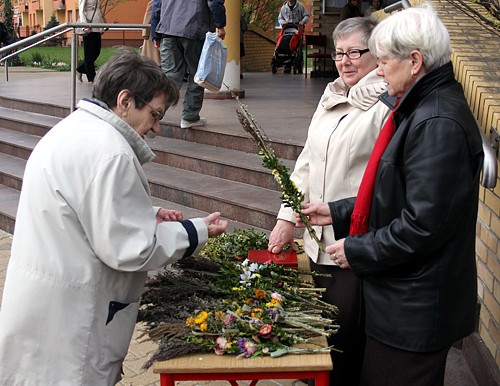 Niedziela Palmowa [foto]