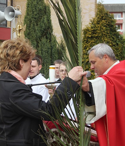 Niedziela Palmowa [foto]