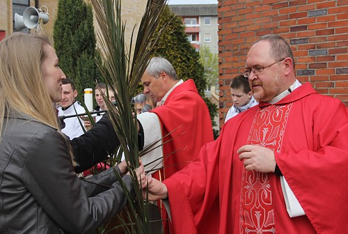 Niedziela Palmowa [foto]
