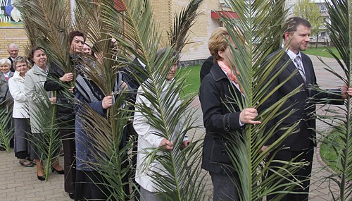 Niedziela Palmowa [foto]