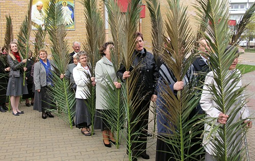 Niedziela Palmowa [foto]