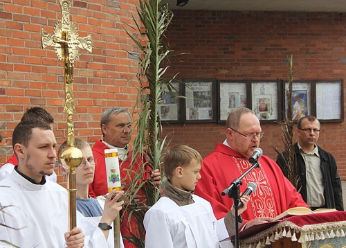 Niedziela Palmowa [foto]