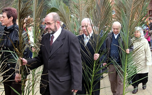 Niedziela Palmowa [foto]