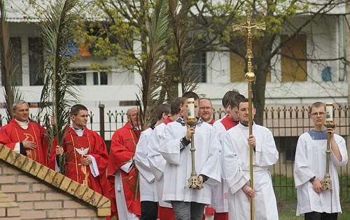 Niedziela Palmowa [foto]