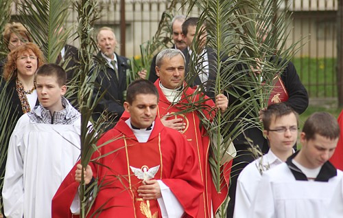 Niedziela Palmowa [foto]