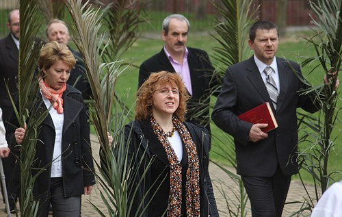 Niedziela Palmowa [foto]