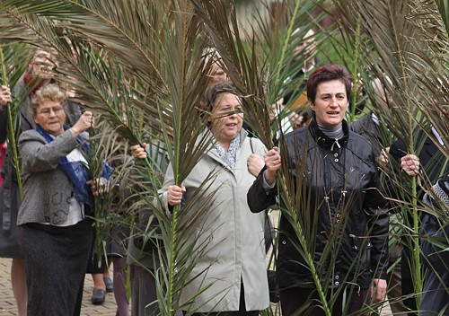 Niedziela Palmowa [foto]