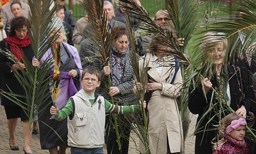 Niedziela Palmowa [foto]