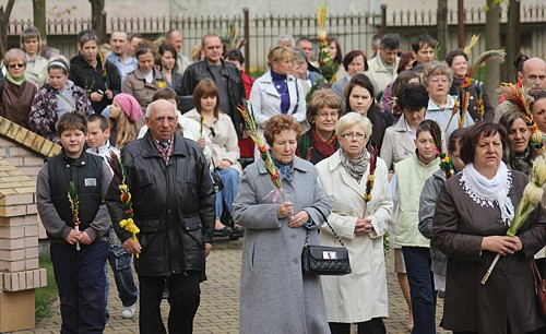 Niedziela Palmowa [foto]