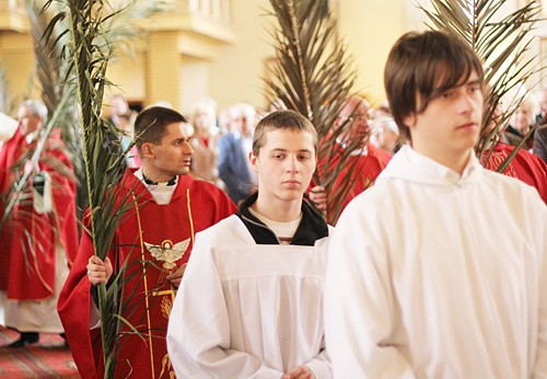Niedziela Palmowa [foto]