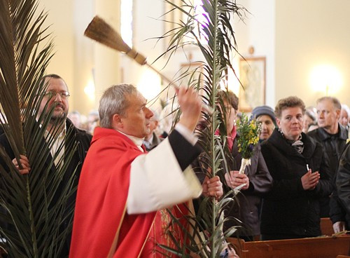 Niedziela Palmowa [foto]