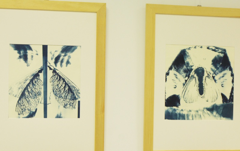 Wystawa Marka Noniewicza w Zalesiu [foto]