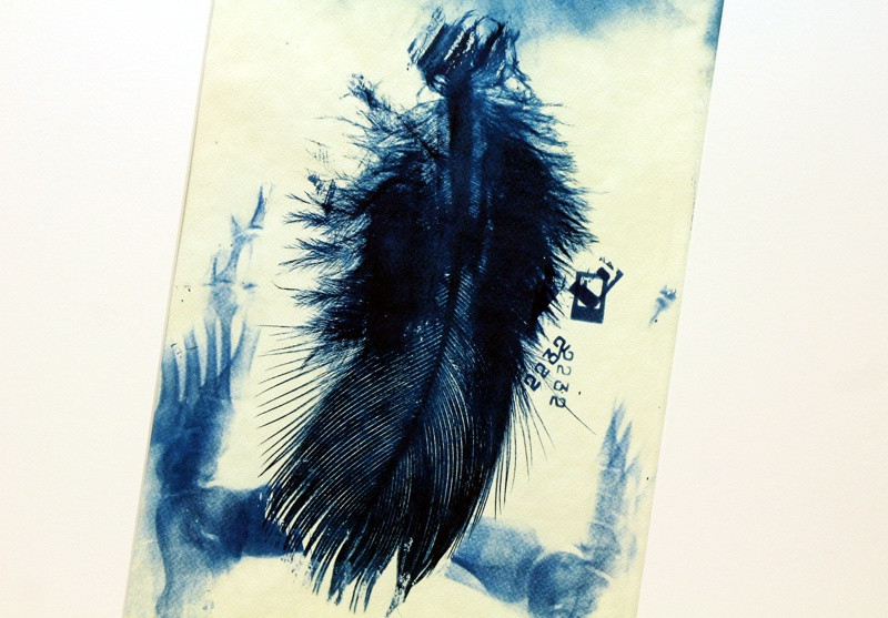 Wystawa Marka Noniewicza w Zalesiu [foto]