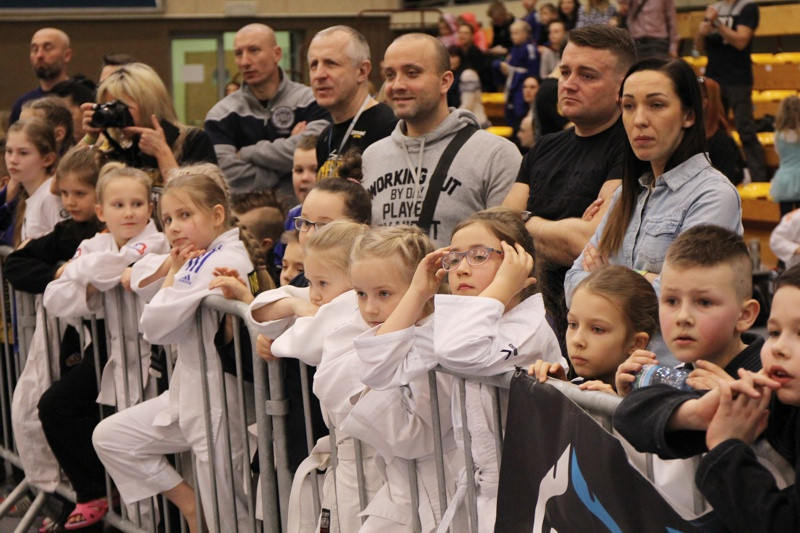 IV Turniej SWANSON CUP w Brazylijskim Jiu-Jitsu [foto/wideo]