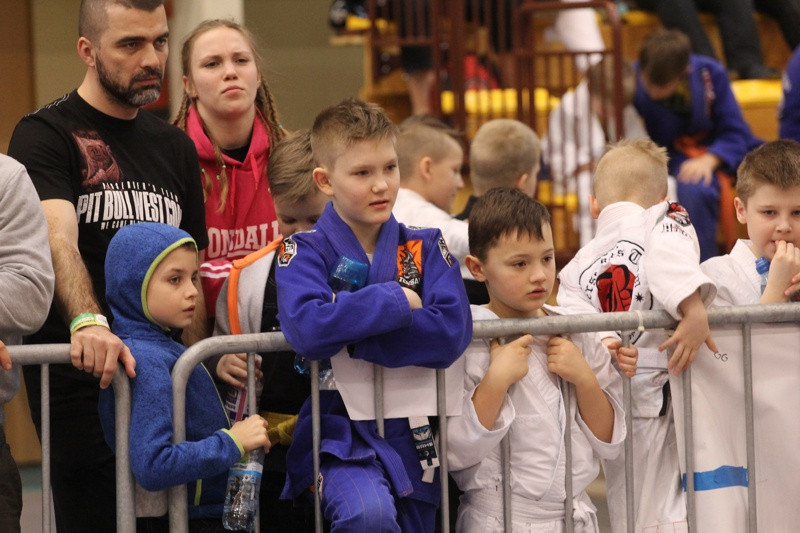 IV Turniej SWANSON CUP w Brazylijskim Jiu-Jitsu [foto/wideo]