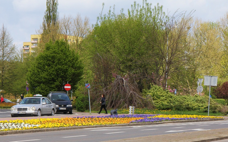 Wiosna w Policach [foto]