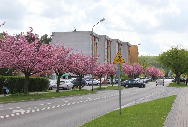 Wiosna w Policach [foto]