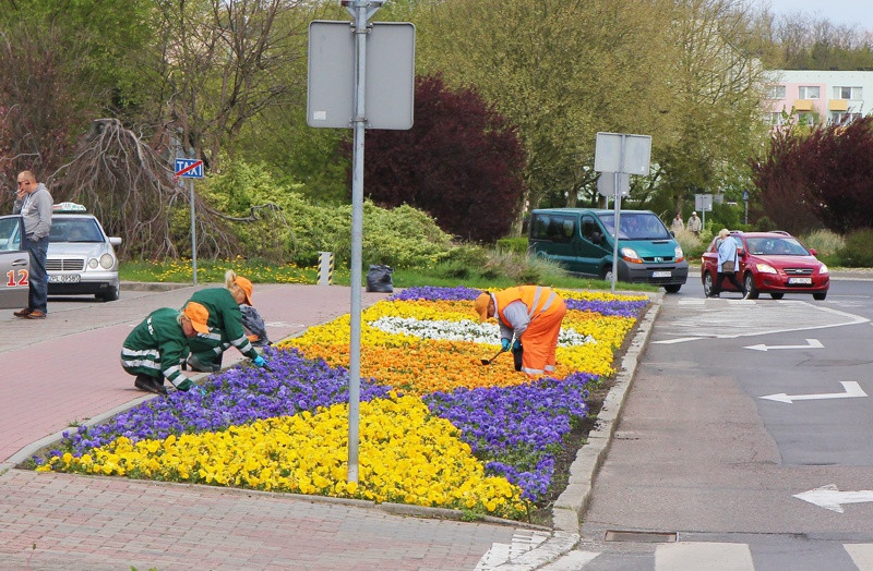 Wiosna w Policach [foto]