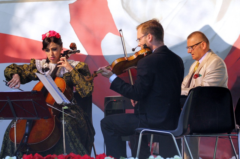 W 227 rocznicę uchwalenia konstytucji „Polonez 3 maja” [foto]