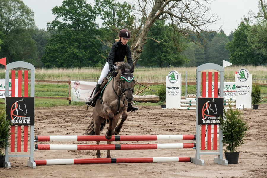 Zawody jeździeckie w Węgorniku [foto]