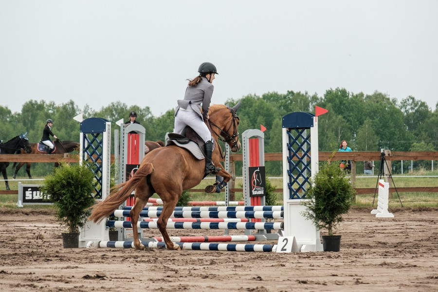 Zawody jeździeckie w Węgorniku [foto]