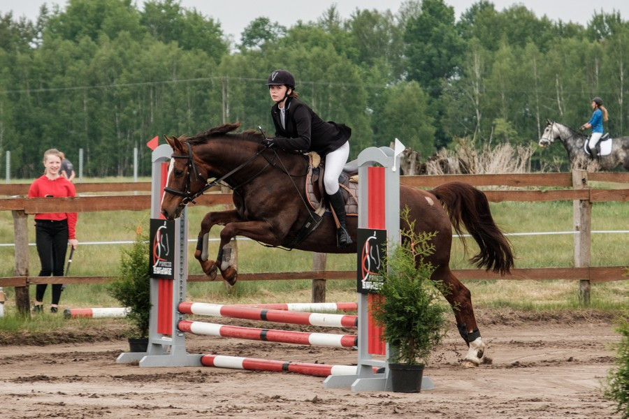 Zawody jeździeckie w Węgorniku [foto]