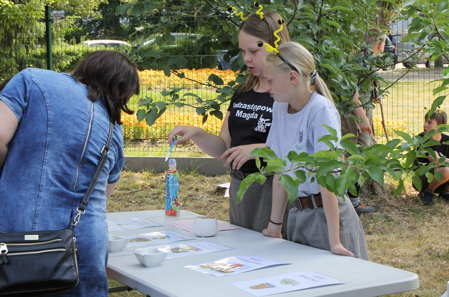 Festyn Rodzinny „Z Rodziną po zdrowie” [foto]