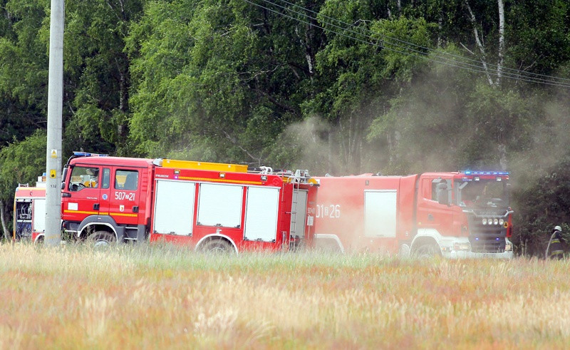Pożar lasu w Wieńkowie [foto]