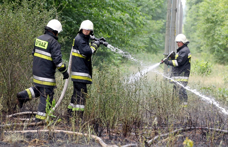 Pożar lasu w Wieńkowie [foto]