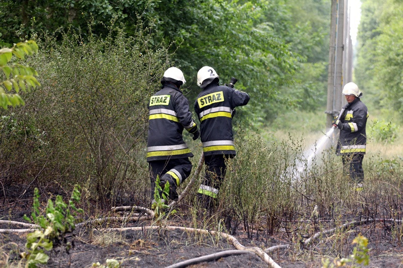 Pożar lasu w Wieńkowie [foto]