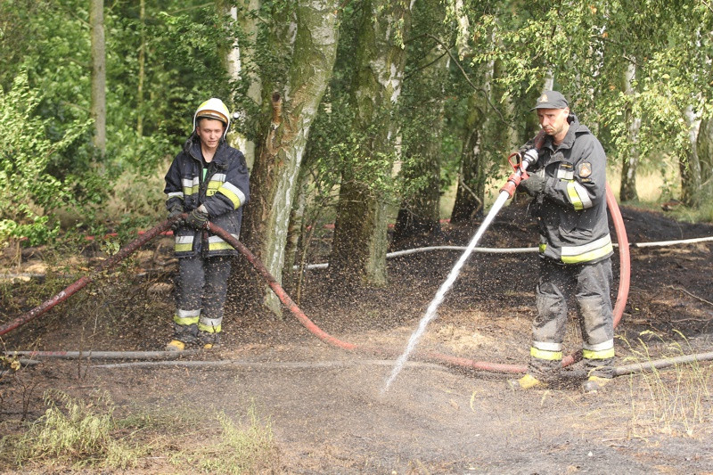 Pożar lasu w Wieńkowie [foto]