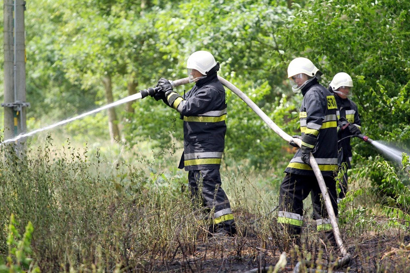 Pożar lasu w Wieńkowie [foto]