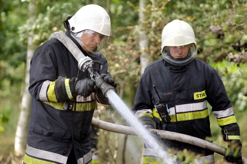 Pożar lasu w Wieńkowie [foto]