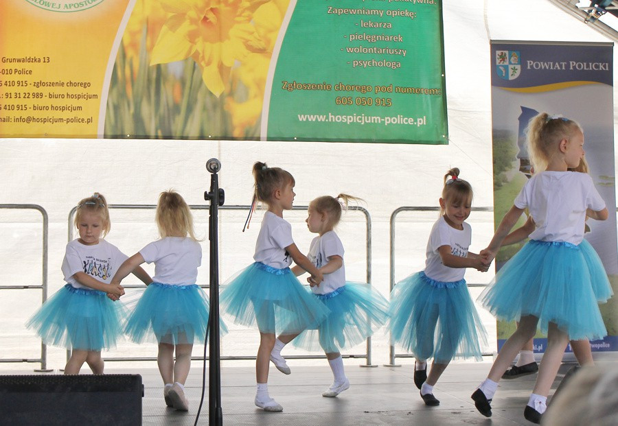 Festyn Hospicyjny w Policach [foto]
