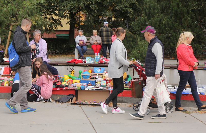 Pchli Targ w Policach [foto]