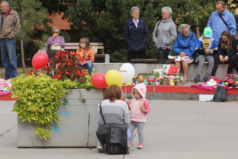 Pchli Targ w Policach [foto]