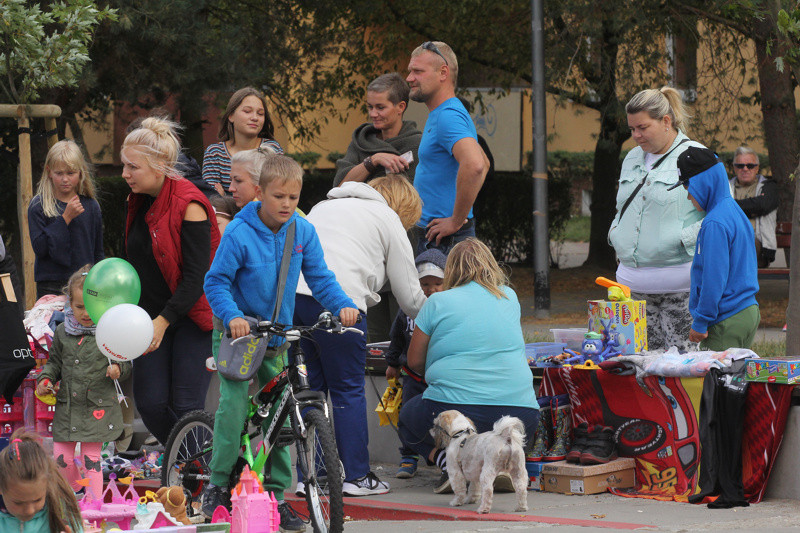 Pchli Targ w Policach [foto]