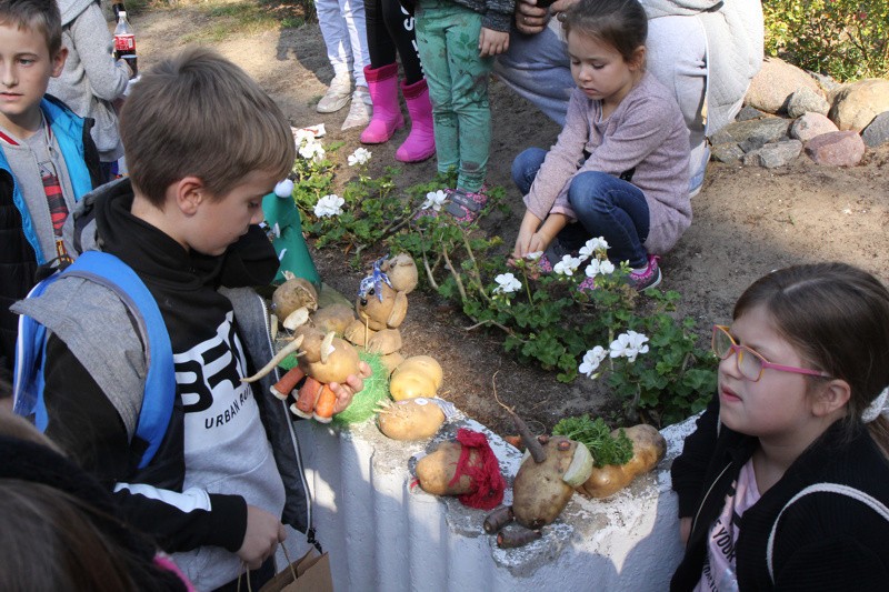 Policki Dzień Pieczenia Ziemniaka w Trzebieży [foto]