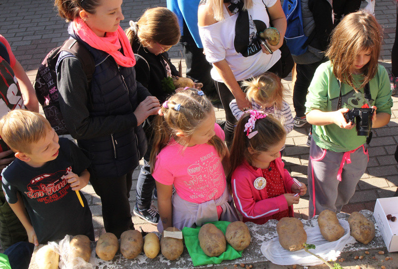 Policki Dzień Pieczenia Ziemniaka w Trzebieży [foto]
