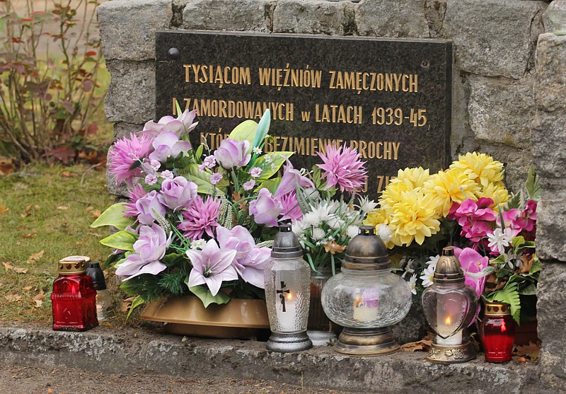 Wszystkich Świętych w obiektywie [foto]