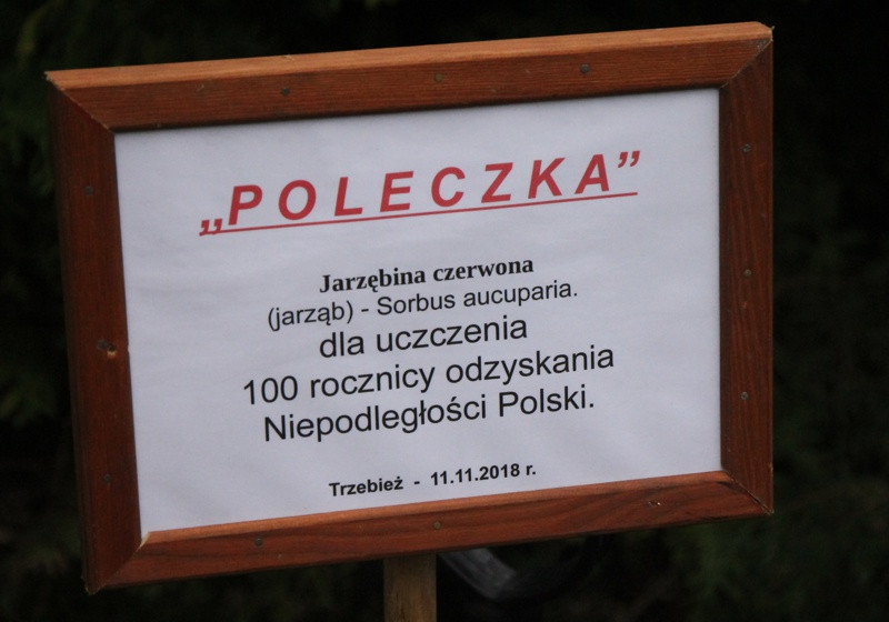 Biało-czerwono w trzebieskim przedszkolu [foto]