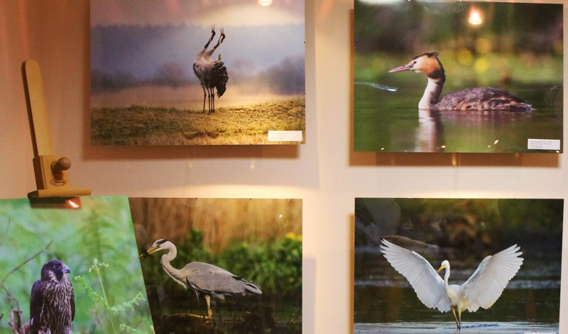 Świdwie Sanctus i wyjątkowe zdjęcia w galerii TaNOWA [foto]