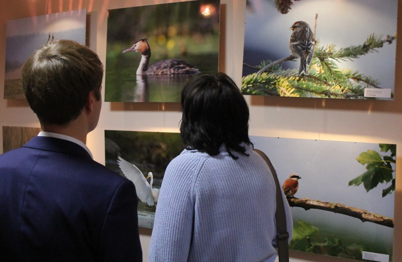 Świdwie Sanctus i wyjątkowe zdjęcia w galerii TaNOWA [foto]