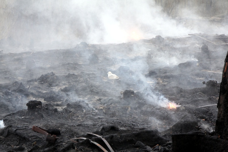 Tyle zostało z promenady spacerowej w Trzebieży [foto]