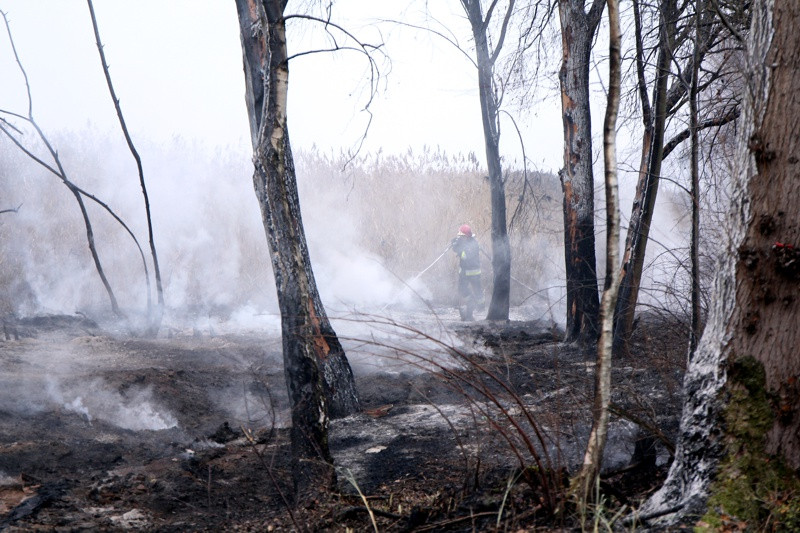 Tyle zostało z promenady spacerowej w Trzebieży [foto]