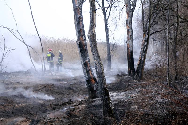 Tyle zostało z promenady spacerowej w Trzebieży [foto]