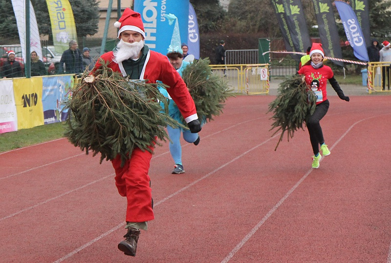 Świąteczna Sztafeta Marzeń czyli  bieg z choinkami  [foto]