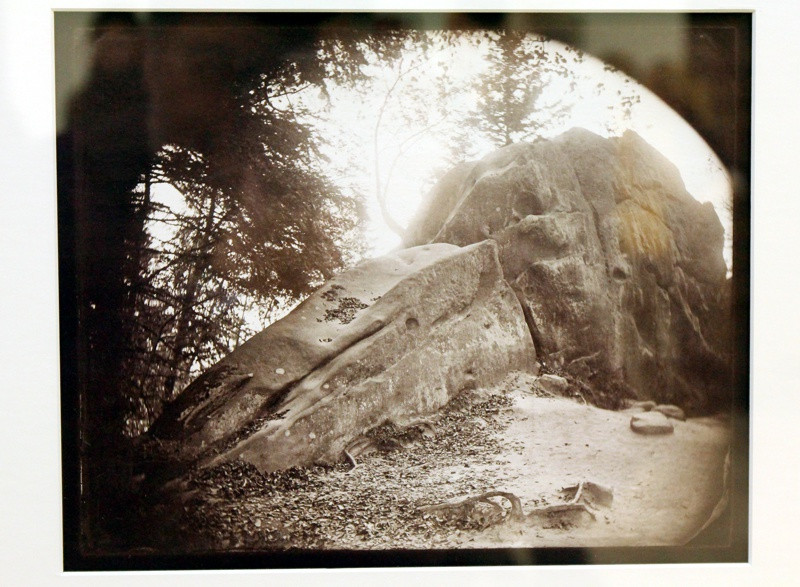 Wernisaż fotograficzny Jakuba Jana Kaski w Zalesiu [foto]