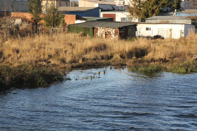 Utrzymuje się wysoki poziom wody [foto]