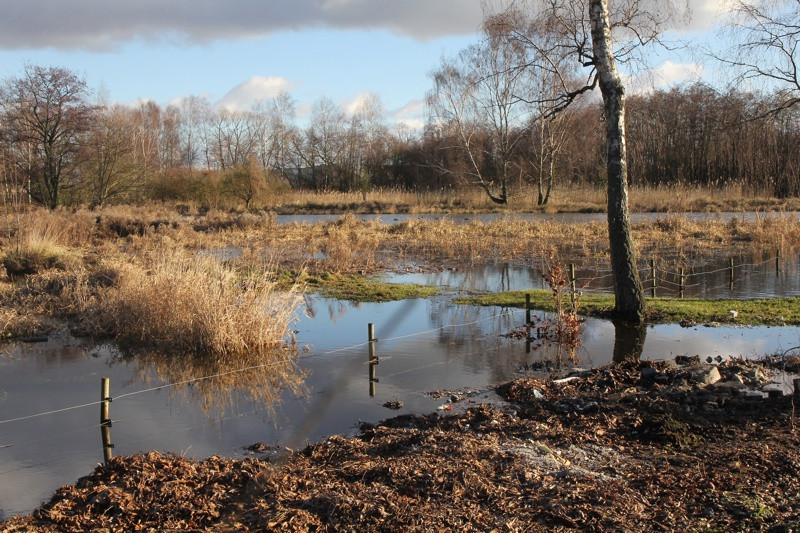 Utrzymuje się wysoki poziom wody [foto]